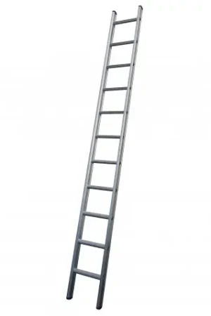 Ladder enkel 2.75 Meter 10 TREEDS Voordeelprijs